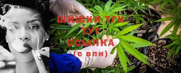 хмурый Абаза