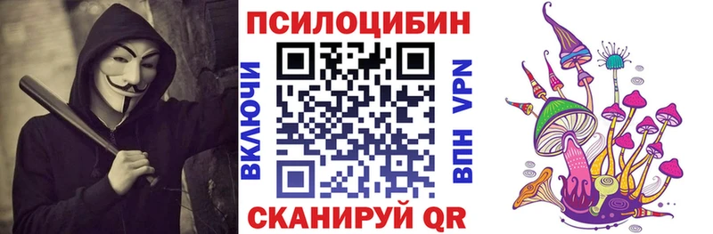 сколько стоит  Чкаловск  Галлюциногенные грибы Cubensis 